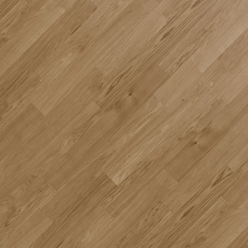Anza - Image 13