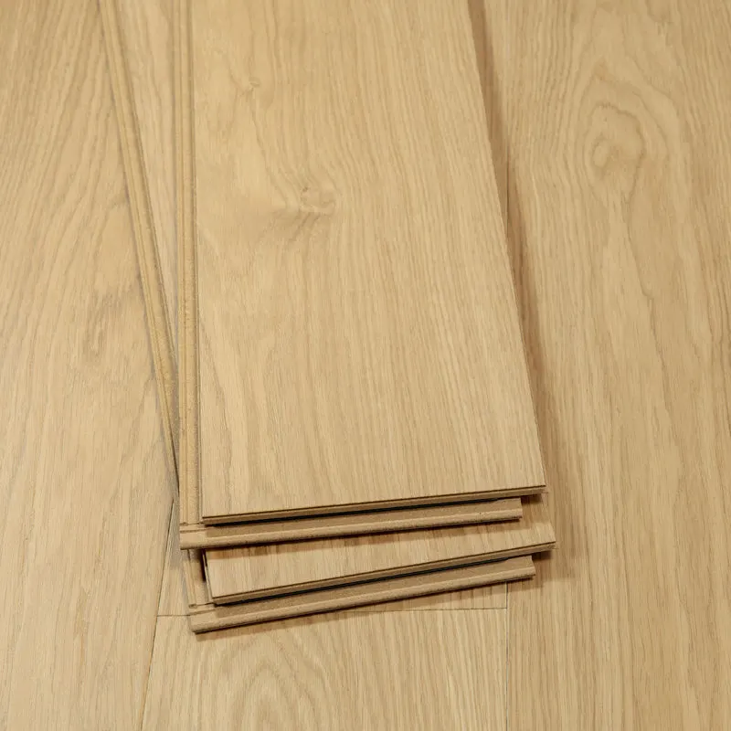 Anza - Image 15