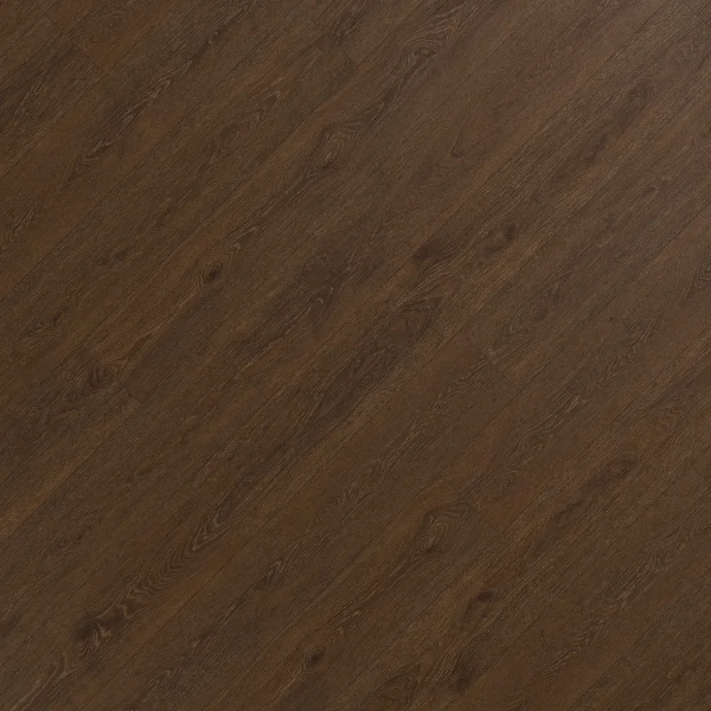 Arbor - Image 32