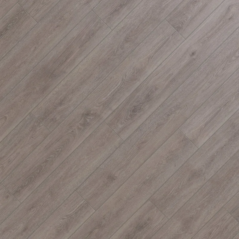 Arlo - Image 10