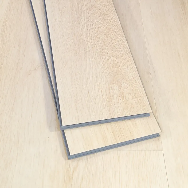 Lato - Image 3
