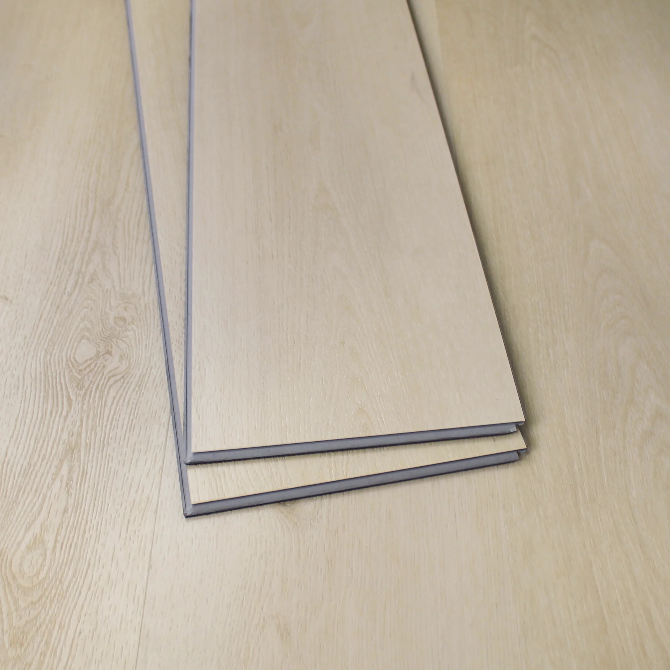 Lato - Image 37
