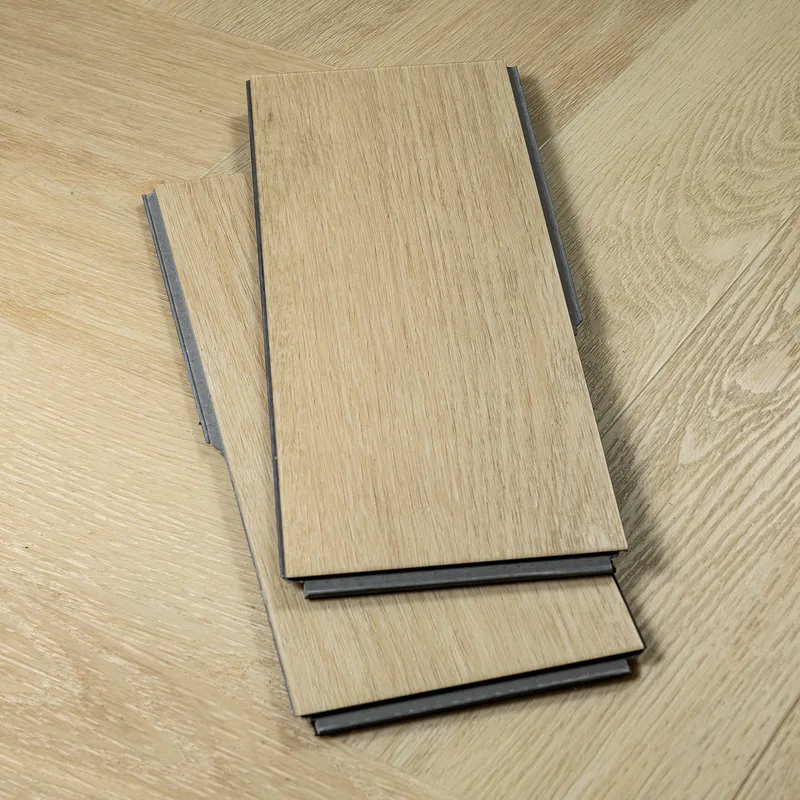 Lato - Image 45