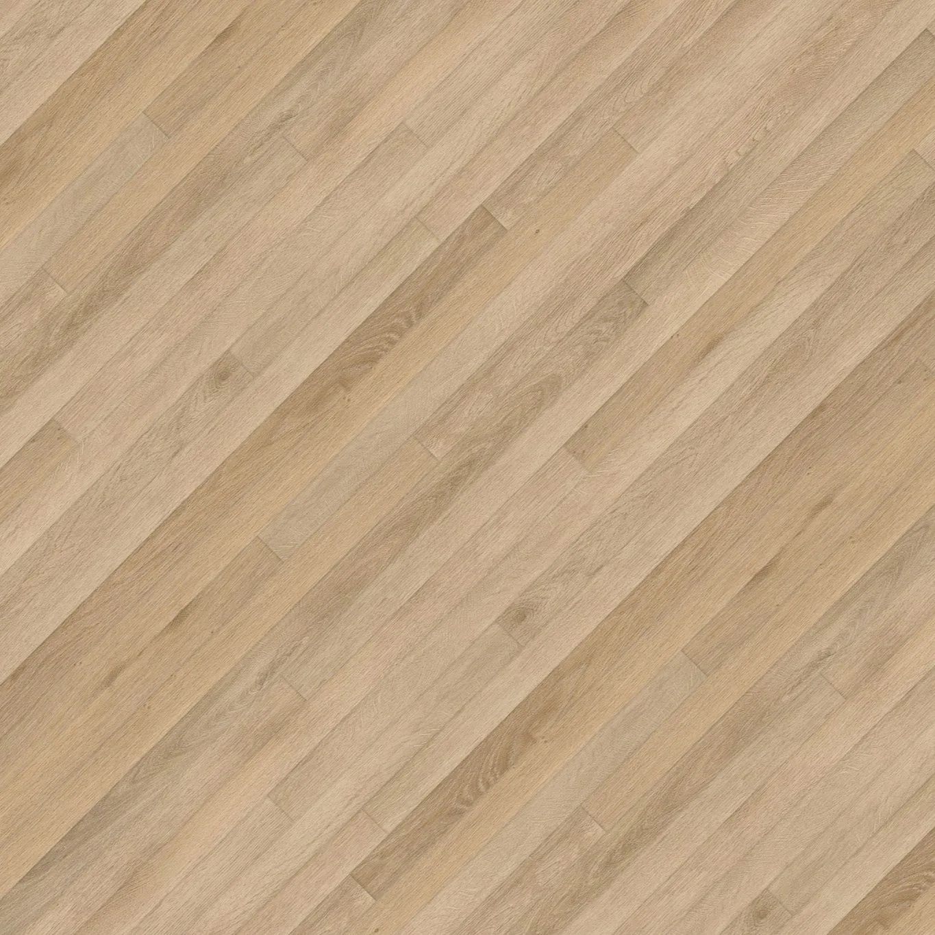 Nakan - Image 12