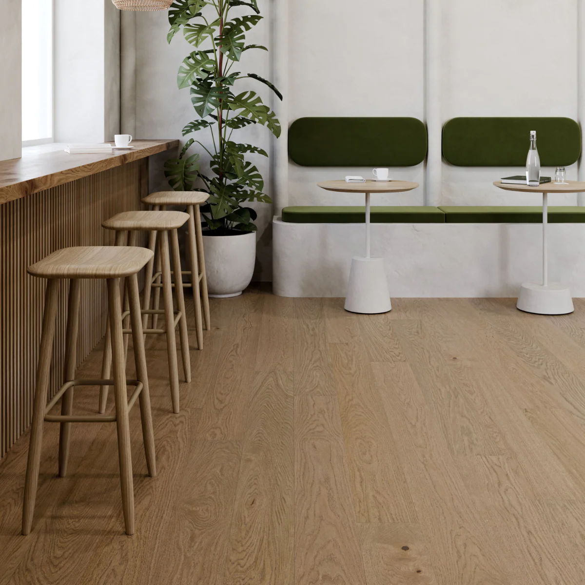 Norde - Image 3